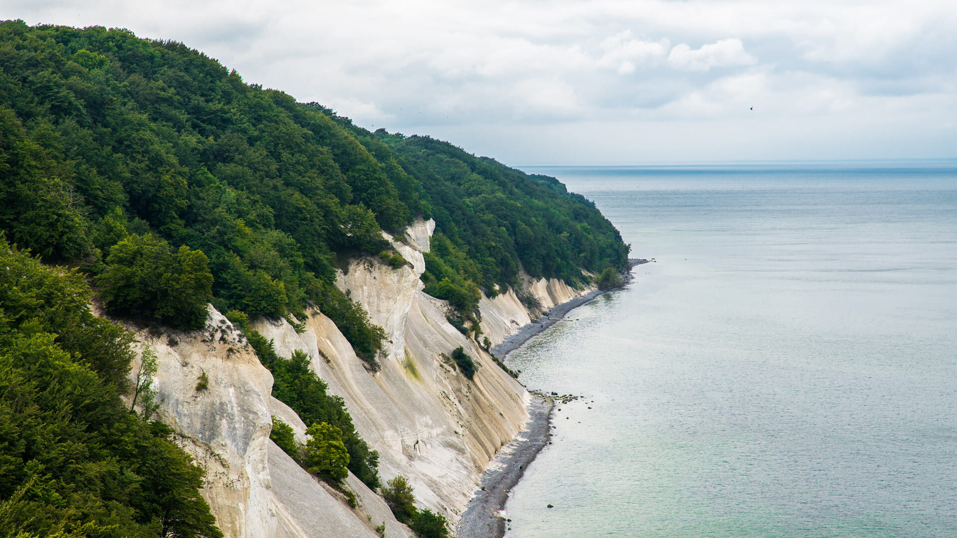 Etablering af trappe ved Møns Klint
